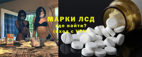 гидра Володарск