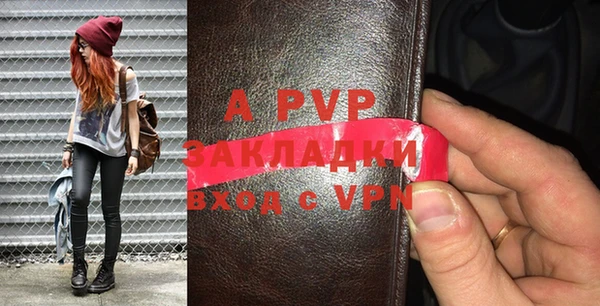 гидра Володарск