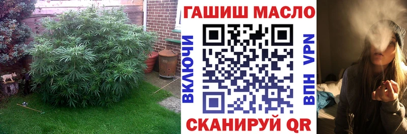 Купить где  Северобайкальск  ТГК Wax 