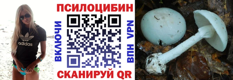 Купить где  Северобайкальск  Галлюциногенные грибы Psilocybe 